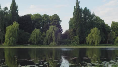 the sight of magnificent old trees overlooking the pond in warsaw's skaryszewski park