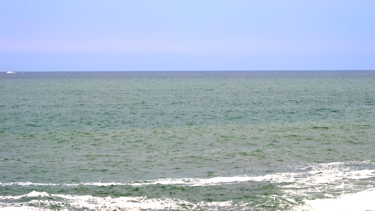 Wide view of Southern Right whale breaching as whale watching boat cruise out