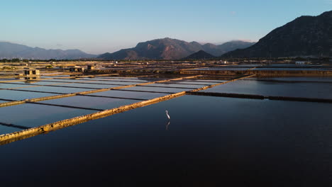 Langsamer-Luftflug-über-Wasser-Auf-Salzfeldern-Und-Ruhender-Storch-Im-Pool-Bei-Sonnenuntergang---Wunderschöne-Berglandschaft-Im-Hintergrund-In-Vietnam