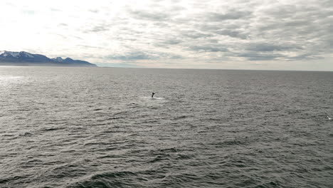 Cámara-Lenta-Aérea-En-Islandia-Ballena-Jorobada-En-La-Distancia-Agua-Fría-Del-Océano