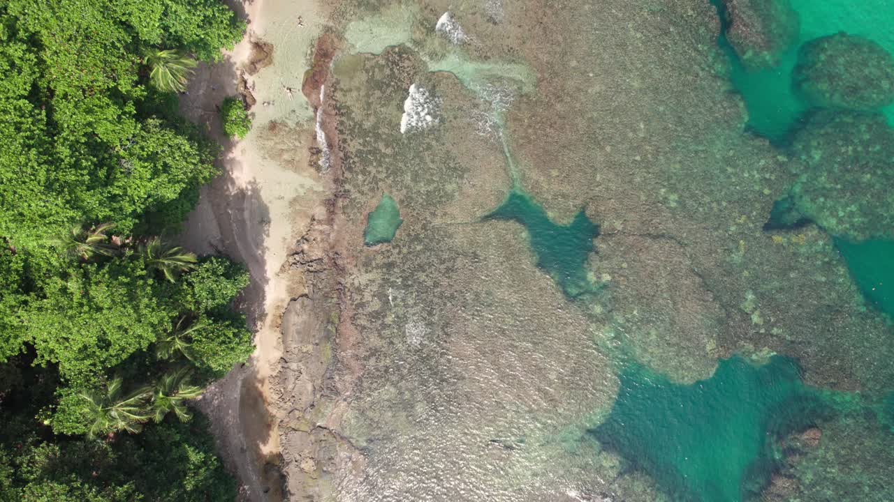 Drone moves forward over coral reefs and sandy shoreline at Puerto Viejo beach, Costa Rica, under sunny blue sky.