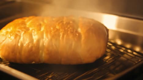 closeup of a freshly baked loaf of bread