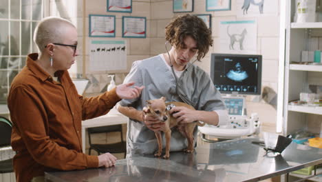 veterinarian giving checkup to dog in clinic