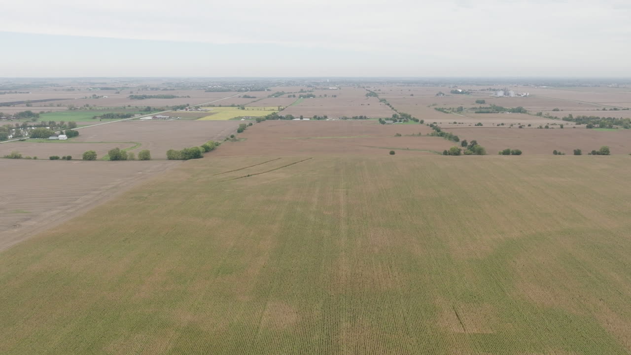 гектары земли на ферме, используемые в качестве кукурузных полей, воздушный след, снятый на большой высоте