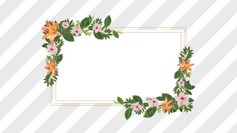 photo frame for copy space with decorative pink and orange flowers