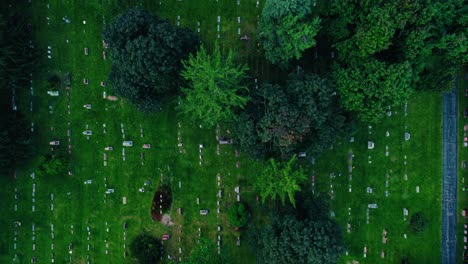 top down aerial of diamond lake cemetery on townline rd, mundelein, illinois usa 60060