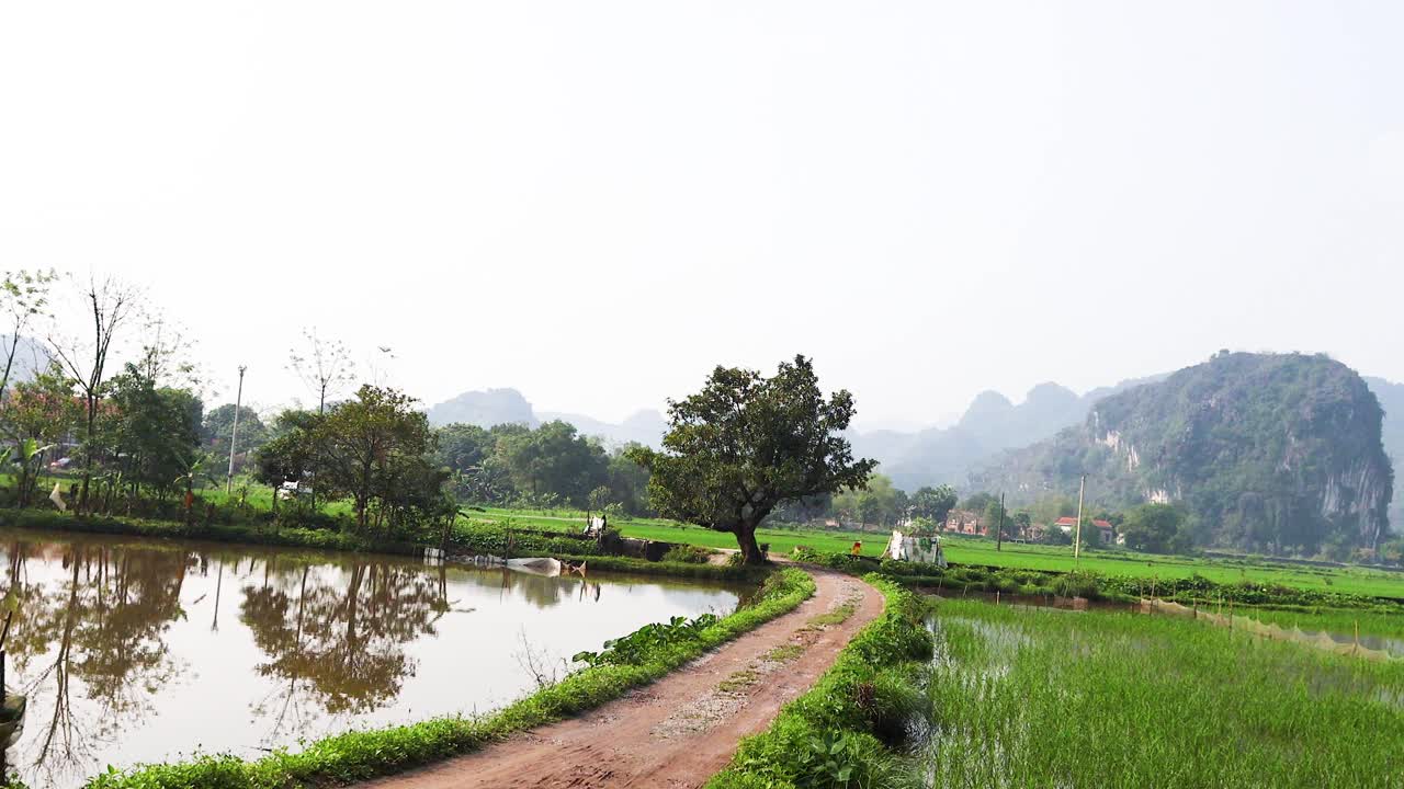 산과 이 있는 평화로운 시골 풍경