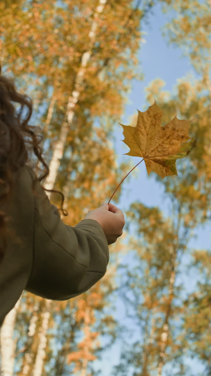 Autumn scene with a person holding a maple leaf
