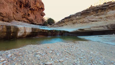a-river-in-the-middle-of-the-sahara-desert-Algeria-Biskra