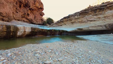 Ein-Fluss-Mitten-In-Der-Sahara,-Algerien,-Biskra