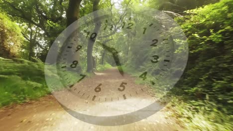 Forest-trail-with-a-running-clock