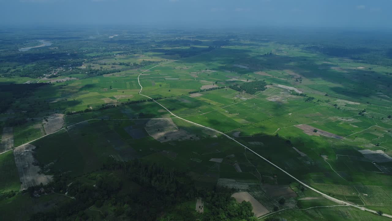 paisaje de un campo verde y una densa