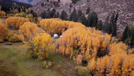 Aerial-View,-Hidden-Yurt-Tents-in-Yellow-Woods,-Autumn-Season-in-Rural-American-Countryside,-Revealing-Drone-Shot