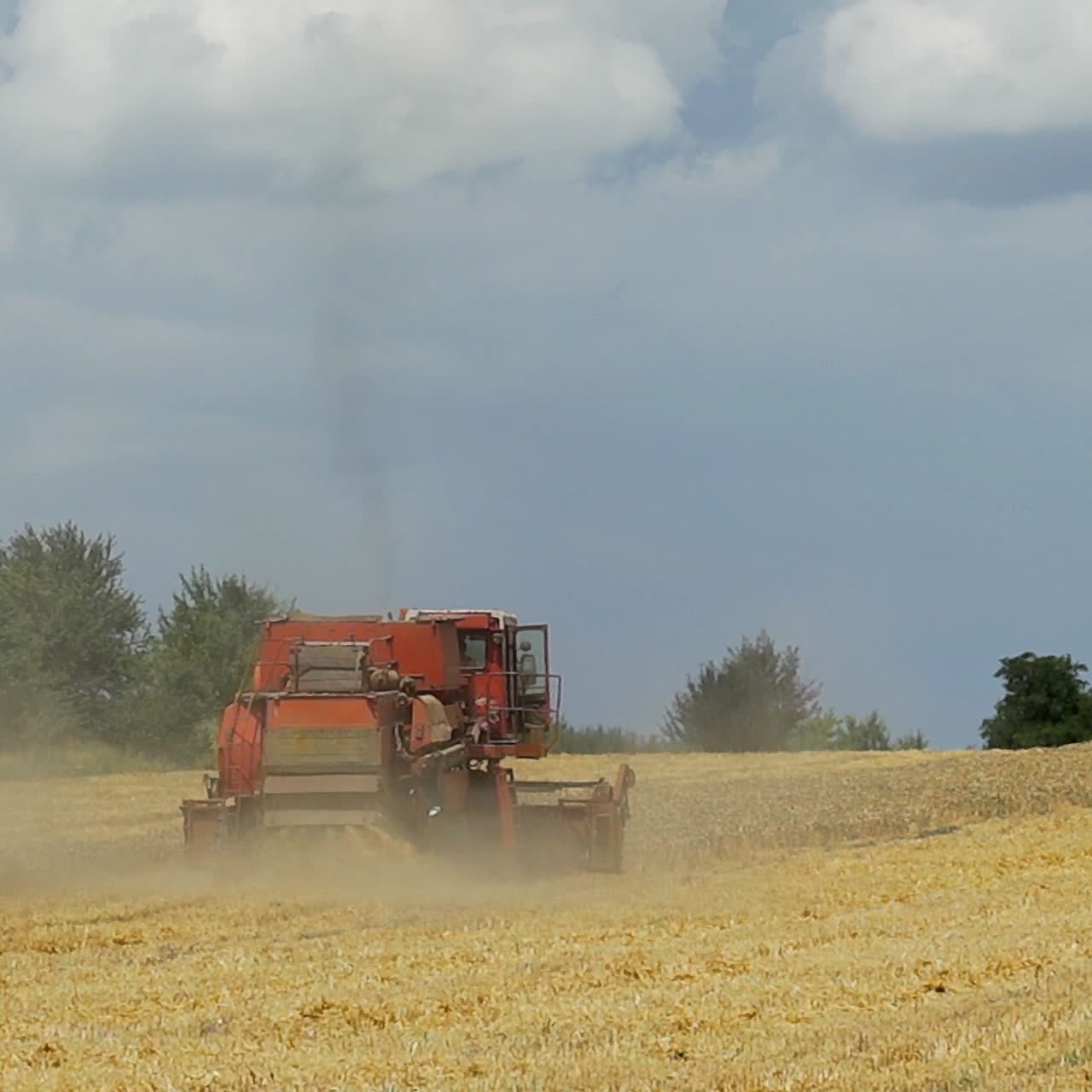 Combine harvester working on the wheat field. Wheat Harvesting.