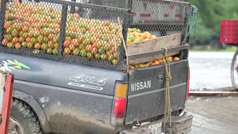 vintage nissan truck fully loaded with oranges