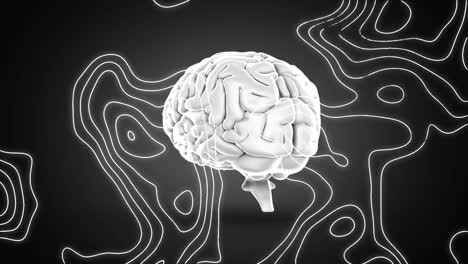 digital animation of topography against human brain spinning on black background