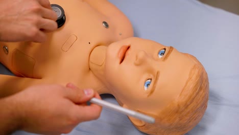 close up of а realistic doll for practicing medical examinations by students and medical professionals