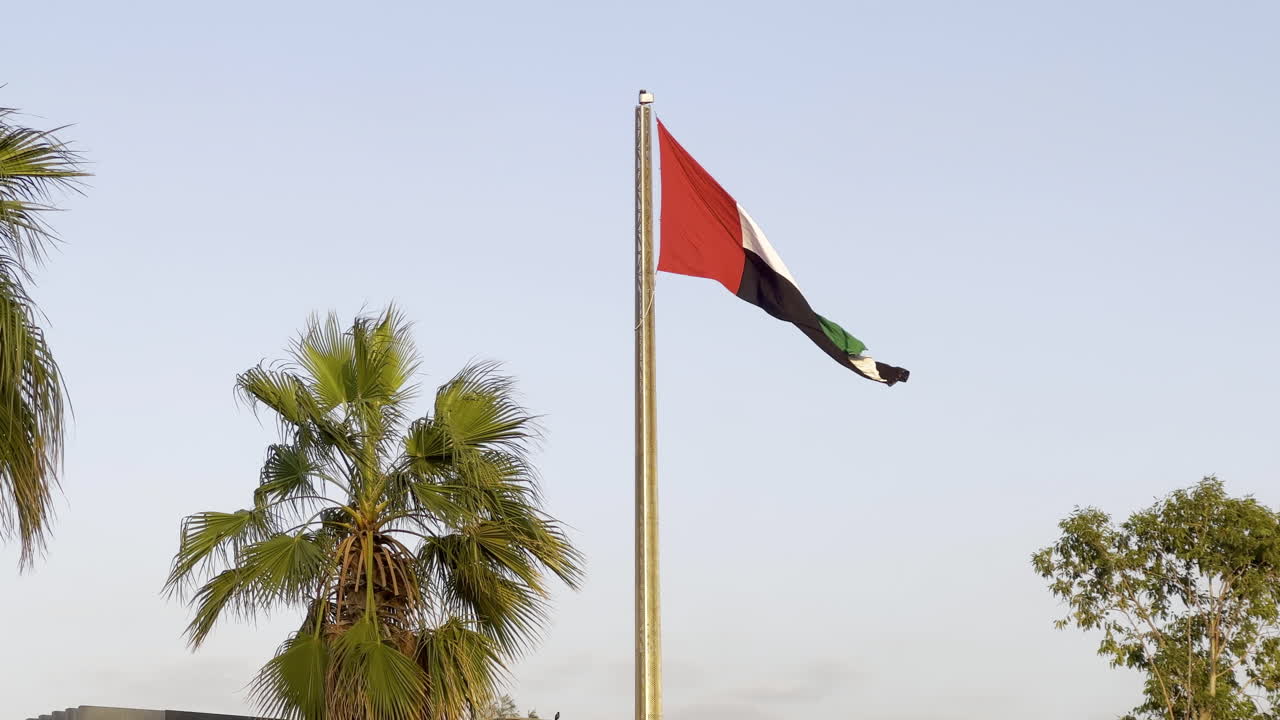 bandera de los emiratos árabes unidos ondeando en el viento cerca de las palmeras