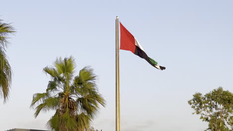 united arab emirates flag fluttering in the wind near palm trees