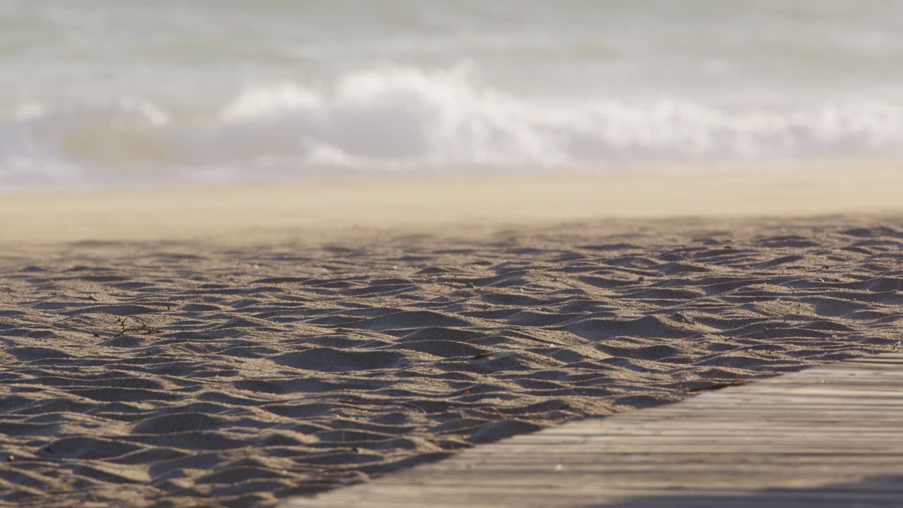 사람 이 고 있는 해변 장면