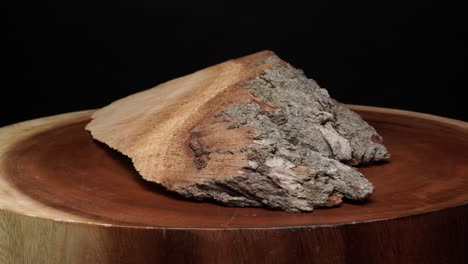 structure of a stump fibre and bark from a saw cut tree trunk. plant based biomass material used as fuel. close up view of fiber and cork texture of real wooden tree cross cut. organic background.