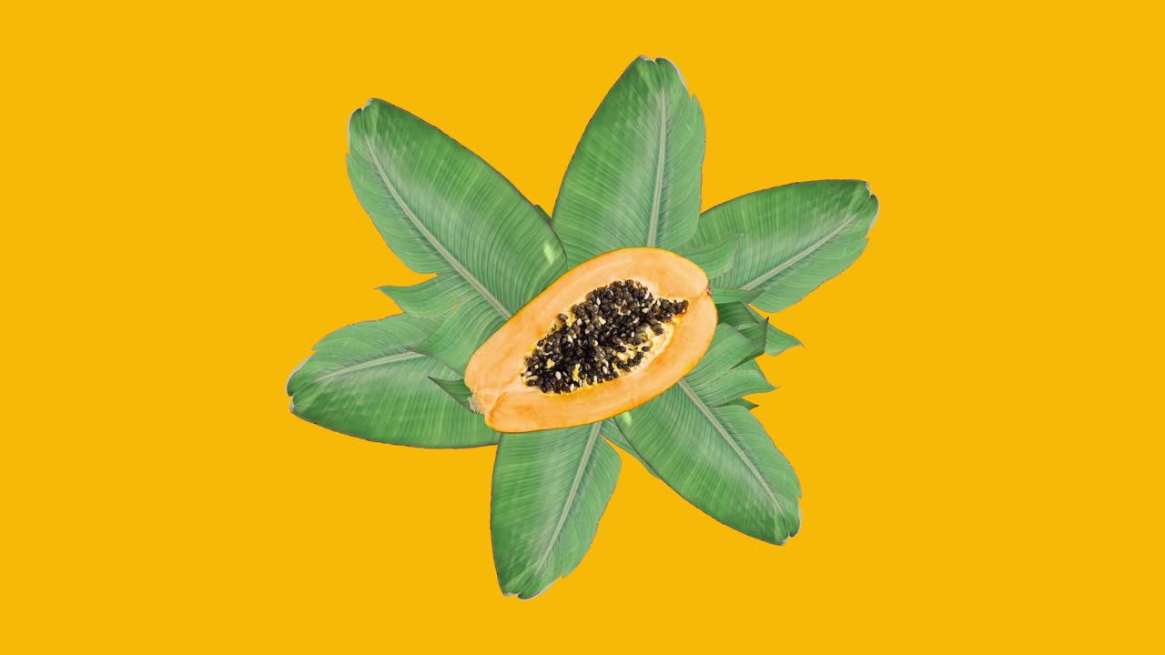 imágenes en stop motion estilo de sacudidas sacudidas maduras y jugosas papayas en hojas verdes sobre un fondo amarillo brillante. diversión de verano