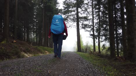 Un-Excursionista-Masculino-En-Un-Camino-De-Grava-Saliendo-Del-Bosque-Mientras-Camina-Por-El-Popular-Sendero-De-Larga-Distancia-Westweg-A-Través-Del-Bosque-Negro-En-El-Sur-De-Alemania-En-Un-Día-Lluvioso