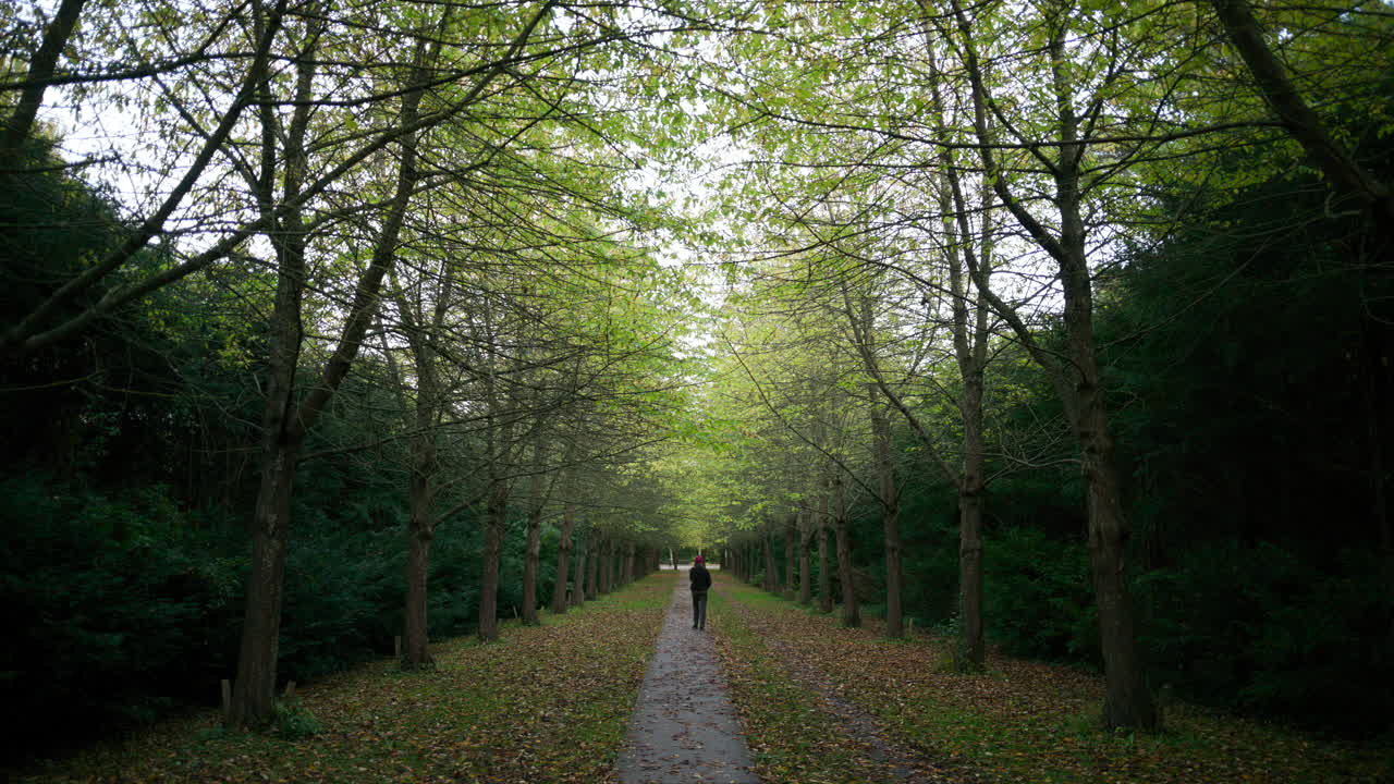 Woman walking through the Vestre Cemetery, in a large park setting in the Kongens Enghave district of Copenhagen, Denmark