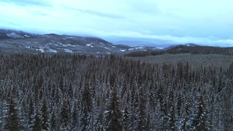 La-Majestuosidad-Silenciosa-Del-Desierto-De-Kootenay