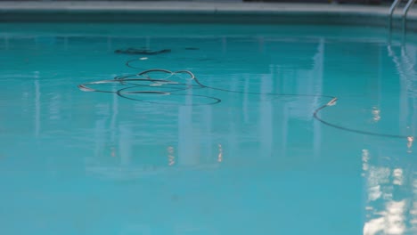 electric pool cleaning robot cleans swimming pool in distance with power cable floating in clear reflective water