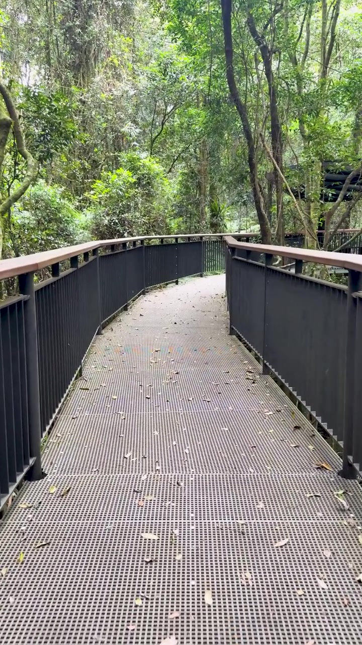 Smooth camera movement along metal walkway through dense, green forest under soft natural daylight