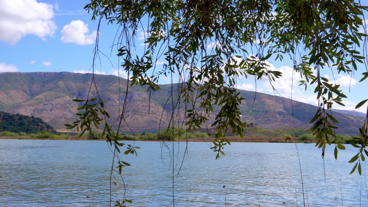 A água calma do lago reflete a luz do dia enquanto a câmera percorre uma paisagem montanhosa emoldurada por galhos de árvores pendentes e um muro de pedra na margem, movimento de câmera suave.