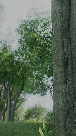 close-up of a tree trunk in a park