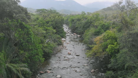 Río-En-Medio-De-Los-árboles