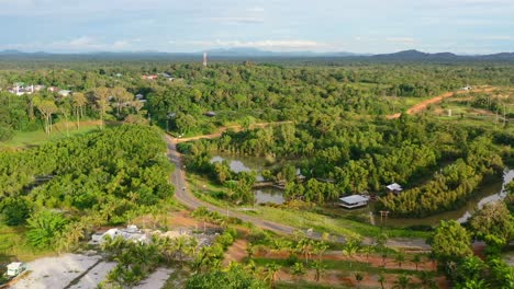 windy road through a tropical forest in belitung