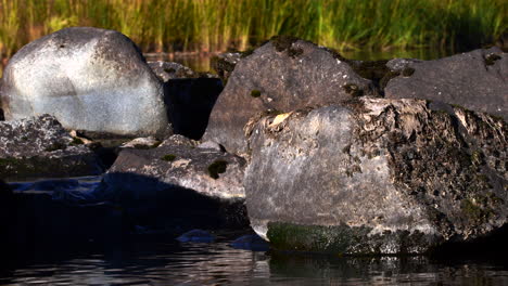 Water-reflecting-beautifully-from-the-rocks-in-a-river