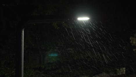 rain at night: street light in the downpour