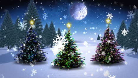 Animation-of-snow-falling-over-christmas-trees-in-winter-scenery