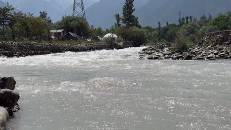sunmarg valley, exploring the tranquil fresh waters of river sindh, boating bliss, forest trails, lush meadows and scenic himalayan landscapes
