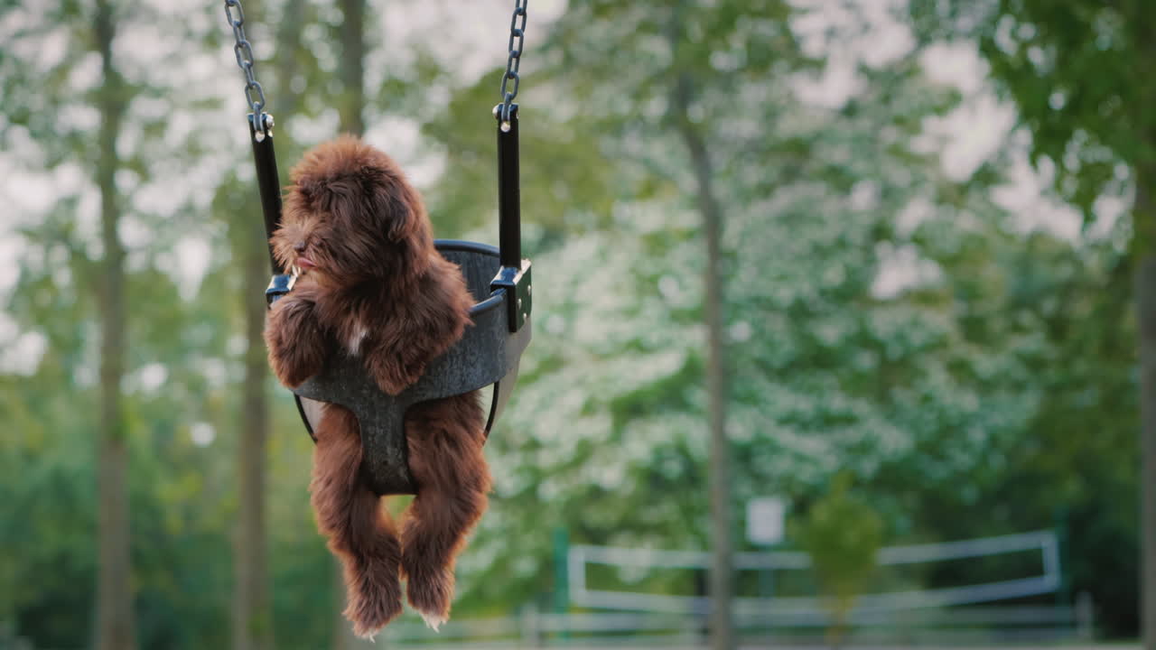 놀이터에서 아이들을 위해 그네를 타는 재미있는 개
