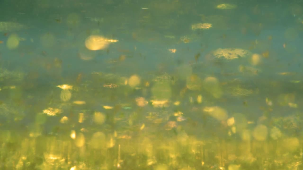 Abstract golden paint duab effect floating on green background