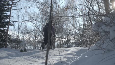 A-person-splitboarding-through-a-snowy-forest-in-Iwanai,-Hokkaido,-Japan,-during-winter