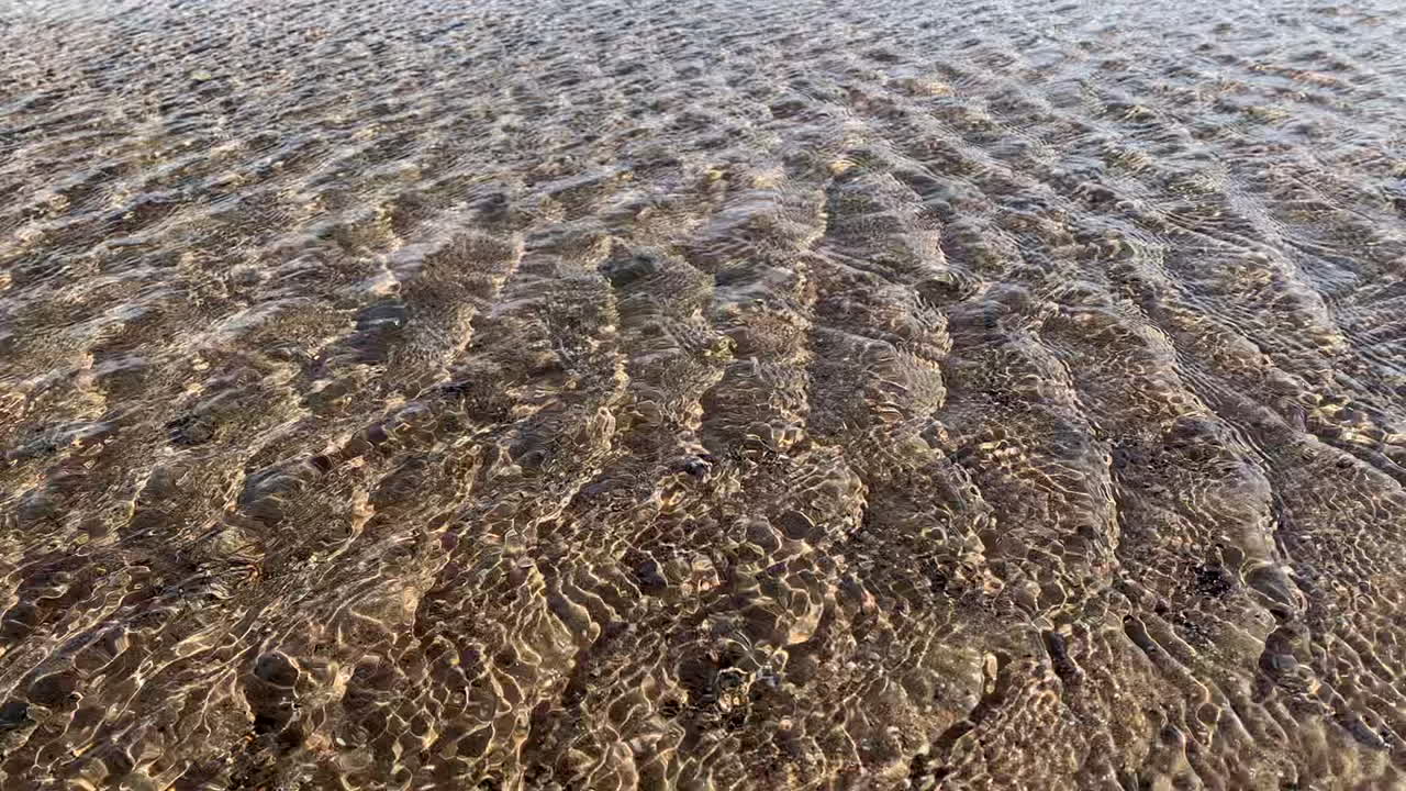 모래 강바닥이 있는 해변에서 바람에 반짝이는 물의 빠른 잔물결