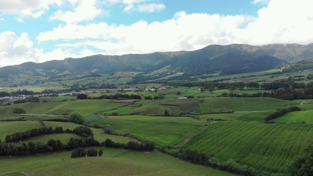 Veduta aerea di paesaggio verde con splendida vegetazione
