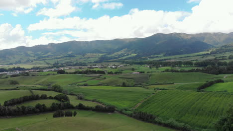 aerial of green landscape with beautiful vegetation on