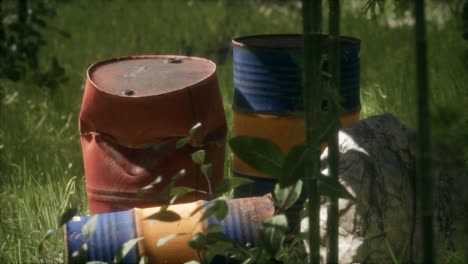 rusty barrels in green forest