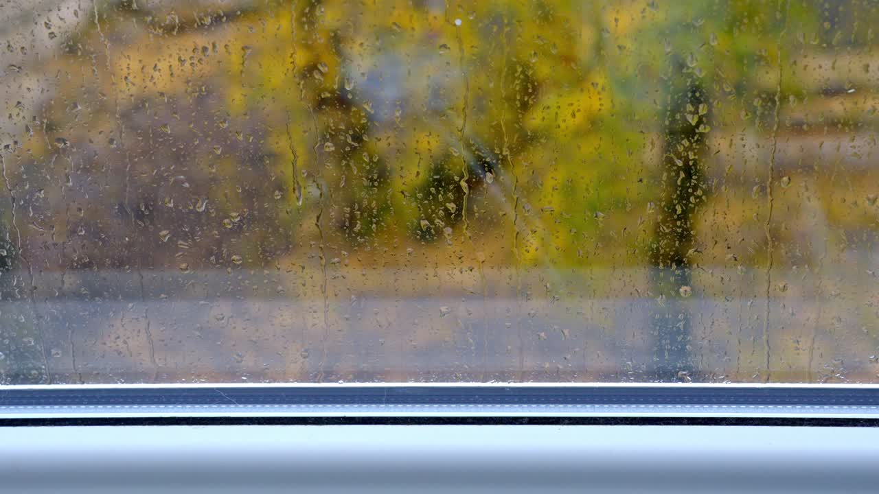 Rainy Autumn Day. Close-Up Of Water Droplets Rolling on Glass