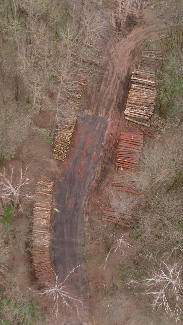 High angle aerial shot showing stacked timber logs along a dirt road in a cleared forest area. Ideal for environmental impact, logging industry, and deforestation documentaries