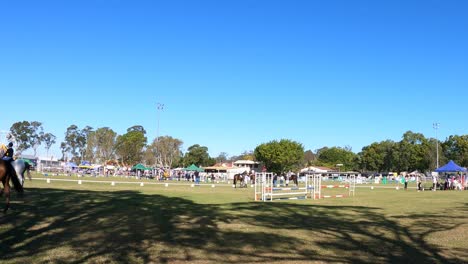 horses and riders performing in a spacious outdoor setting