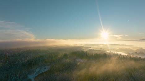 sunset rays through winter fog over jorat woods in vaud, switzerland